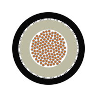 Železniční kabel ÖLFLEX TRAIN 4GKW C 1x185 BK LAPP 3823349