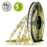 LED pásek SMD3528FM 180LED/m 14,4W/m 1562lm/m IP20 DC24V 10mm 5m (maso)