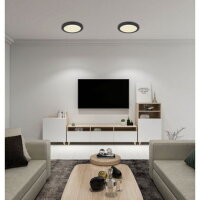 Stropní svítidlo LASSE černá LED 24W 230V 1800lm 3000-4000-6500K GLOBO 12379-24B