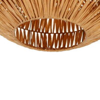 Stropní svítidlo SHELDON E27 40W IP20 černá EGLO 44142