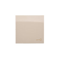 kryt jednoduchý s piktogramem klíče pro spínače a tlačítka, krémová DKWK1/41