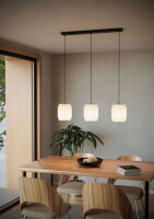 Závěsné svítidlo BELGRAVE E27 černá/papír bílá 3X40W IP20 EGLO 44102