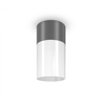 Stropní svítidlo Willis O418CL-01GR MAYTONI