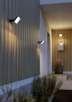 AL-LED STRAHLER 20W SCHWARZ/WS 'MACHIO'