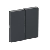 ABB FUTURE LINEAR/SOLO Kryt Friends of Hue smart switch antracitová 6736 FoH-81