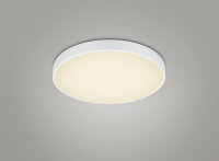 Svít. WACO incl.1x52,5W LED/6200Lm/2300+