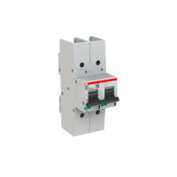 S802P-B80-R; 2 fázový jistič; jmenovitý