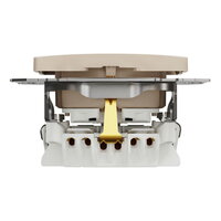 Zásuvka SCHUKO, Bříza,Sedna Design/Elements SCHNEIDER SDD180022U