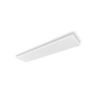 Philips Hue WACA Surimu LED panel 120x30cm 4200lm 2200-6500K RGB bílá