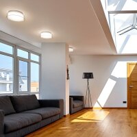 VENICE LED 30 stropní čiré sklo/opálové sklo/chrom 230V LED 12W IP44 3K R13685