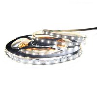 LED pásek SMD5050 CW, 30LED/m, 7,2W/m, 540lm/m, IP20, DC 12V, 10mm, 5m
