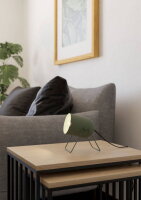 Stolní svítidlo TILSTON E14 8W IP20 zelená EGLO 44136