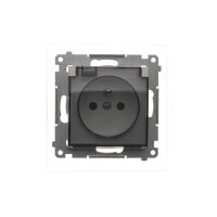 DGZ1BZ.01/11A Zásuvka jednonásobná s uze