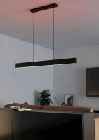 Závěsné svítidlo ANDREAS-Z LED-RGB/CCT černá 2X19W EGLO 900878