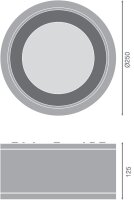 Downlight LEDVANCE SURFACE IP65 DN 250 P 45W 830 60D WT