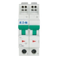 PLI-C6/2 Jistič PLI (bezšroubové svorky nahoře) char C 2-pólový 10kA 6A 101296