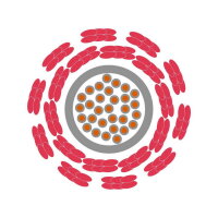 Jednožilový vodič ÖLFLEX HEAT 1565 SC 1X4 LAPP 3018942