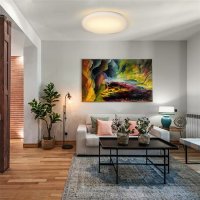 LED stropní světlo Plain, 15W, 1200lm, 3000K, kulaté, 26cm SOLIGHT WO786