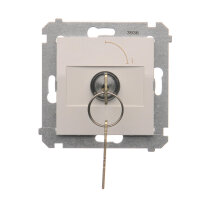 DW1K.01/11 Jednopólový spínač na klíč -