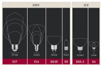 Žárovka 15W E14 zelená PAULMANN 80013