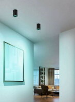 LED-ZIG-RGB/CCT DL GU10 SW/WS 'CAROSSO-Z