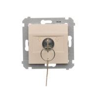 DPZK.01/41 Spínač žaluziový na klíč, (st