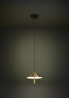 Závěsné svítidlo PARAGUAY LED -černá/mosaz 1X12W EGLO 390271