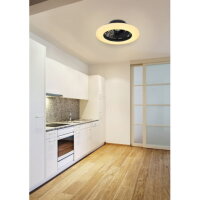Stropní ventilátor TRAVO černá LED 30W 230V 1800lm CCT 3000-6500K GLOBO 03628B