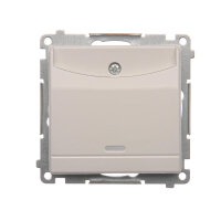 DWH1.01/11 Hotelový kartový spínač s ori