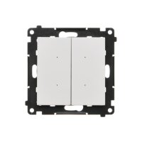 Ovladač 2 násobný (přístroj), elektronic