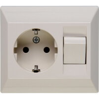 190301006 Earthed socket outlet with swi