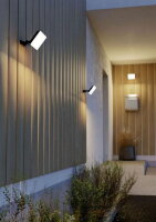 AL-LED STRAHLER 30W SCHWARZ/WS 'MACHIO'