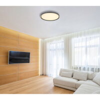 Stropní svítidlo DUBLIN šedá 48W 2700-6000K GLOBO 48802-48