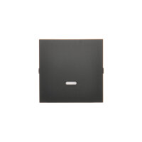 DKW1L/49 kryt jednoduchý  s průzorem pro