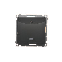 DWH1.01/49 Hotelový kartový spínač s ori