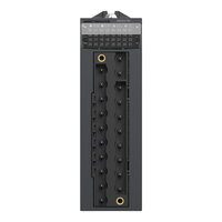 >H 4 anal. výstupy ą10V, 0/4÷20mA, 15 SCHNEIDER BMXAMO0410H