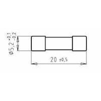 Pojistka F 2,5A KOPP 321800084