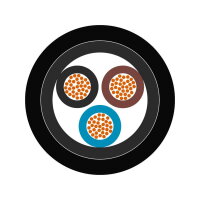 Vozidlový kabel ÖLFLEX TRUCK 470 P 2X1,5 WH/BK LAPP 7027020