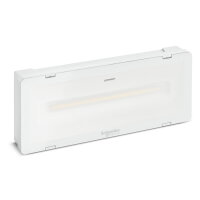 Exiway Smartled CBS IP65 L/300/216VDC230 SCHNEIDER OVA46020