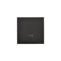 TKWK1/149 Kryt s piktogramem klíč, 1 nás