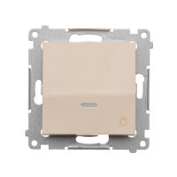 DS1L.01/41 Ovladač zapínací SVĚTLO, s or