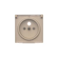TGZ1BUZP/144A Kryt 1 násobné zásuvky, s