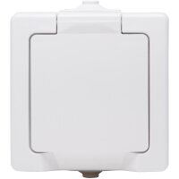 107802006 Earthed socket outlet with hin