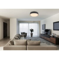 Stropní svítidlo MANNI černá LED 40W 230V 1850lm CCT 2700-6500K GLOBO 41759-40