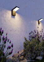 AL-LED-WL/1 SCHWARZ 'GROTTAZZOLINA'