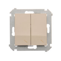 DW6/2L.01/41 Přepínač dvojitý střídavý,