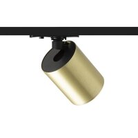 DARIO pro jednookr. lištu česaná mosaz 230V GU10 9W RENDL R13872