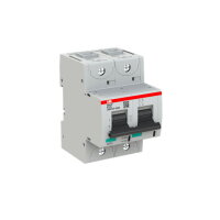 S802P-K125; 2 fázový jistič; jmenovitý p