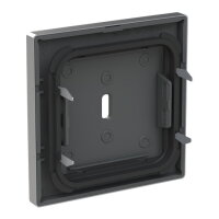 Kryt pro přístroj ABB FUTURE LINEAR nabíjecí USB-C (65 W), ušlechtilá ocel