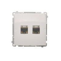 BM62E.01/11 dvojitá počítačová zásuvka R